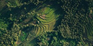 Fond of terraced rice paddies? Love beaches? Why not experience both at the same… Fond of terraced rice paddies? Love beaches? Why not experience both at the same...
