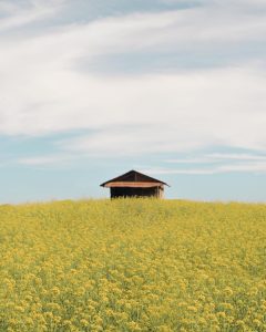 Can you feel the serenity of this place from afar? This beautiful shot was taken...
