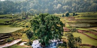 What a wonderful sight captured by @alifeiimagined! Sumba Island offers amazing … What a wonderful sight captured by @alifeiimagined! Sumba Island offers amazing ...