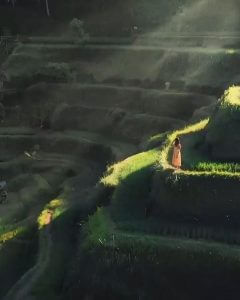 Do you realize how vast Tegallalang is?
 
It’s one of the most gorgeous places t...