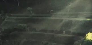 Do you realize how vast Tegallalang is?
It’s one of the most gorgeous places t… Do you realize how vast Tegallalang is?
It’s one of the most gorgeous places t...