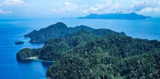 Soothing scenery never fails to delight!
Sail around Sombori Island and treat y… Soothing scenery never fails to delight!
Sail around Sombori Island and treat y...