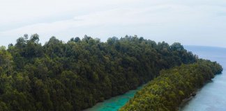 Want to explore a true hidden gem on your next holiday?
Check out Kakaban Islan… Want to explore a true hidden gem on your next holiday?
Check out Kakaban Islan...