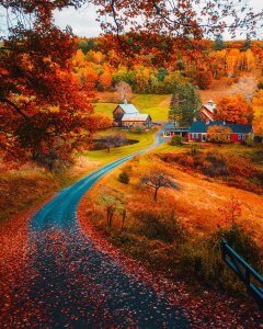 @gomzzzzzzzzzz captures New England's red-hued magic during the fall!  From fier...