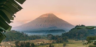 Come join the fun at the #BaliArtsFestival that’s on till 10th July, 2022!
Part… Come join the fun at the #BaliArtsFestival that’s on till 10th July, 2022!
Part...