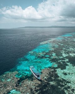 Need something to refresh your mind? Let's sail along the mesmerizing sea of Wak...