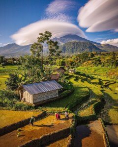 What a peaceful sight to wake up to!
Catch this panoramic view at Selotapak Vill...