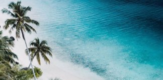 White sand, turquoise water, and palm trees caressed by the breeze. What an amaz… White sand, turquoise water, and palm trees caressed by the breeze. What an amaz...