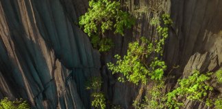 brings us to a picture-perfect beach on Coron Island in the Philippines! This t… brings us to a picture-perfect beach on Coron Island in the Philippines! This t...
