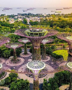 takes us on a whirlwind journey through the stunning sights of Singapore!  From ...