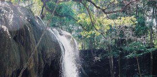 Brighten your mood in the magical ambiance of Sumbawa’s wilderness before watchi… Brighten your mood in the magical ambiance of Sumbawa's wilderness before watchi...