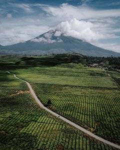 Do you want to escape the hustle and bustle of the city? Follow this road to ser...