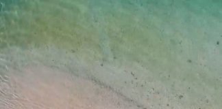 It’s the final day of #MXGP2022 in #Samota! Make sure to explore the wonders of … It's the final day of #MXGP2022 in #Samota! Make sure to explore the wonders of ...