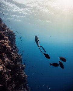 Let's dive into one of the world's most beautiful underwater paradises on #World...