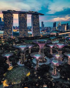 takes us on an unforgettable journey through Singapore!  From the mesmerizing Su...