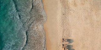 Set yourself free from worries and witness a true spectacle!
Catch this wonderf… Set yourself free from worries and witness a true spectacle!
Catch this wonderf...