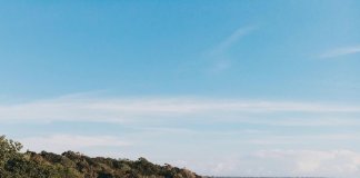 The pristine seas of Indonesia boast a myriad of fantastic surfing spots.
Just … The pristine seas of Indonesia boast a myriad of fantastic surfing spots.
Just ...