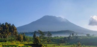 There’s no better mood-lifter than the sight of blooming flowers under the sun!
… There’s no better mood-lifter than the sight of blooming flowers under the sun!
...