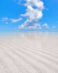invites you to dive into the crystal-clear waters of Yoron Island!  This mesmeri...