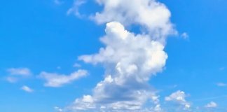 invites you to dive into the crystal-clear waters of Yoron Island! This mesmeri… invites you to dive into the crystal-clear waters of Yoron Island! This mesmeri...