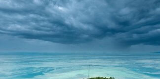 #ArborekIsland might be small, but it’s one of the liveliest islands in the #Raj… #ArborekIsland might be small, but it’s one of the liveliest islands in the #Raj...