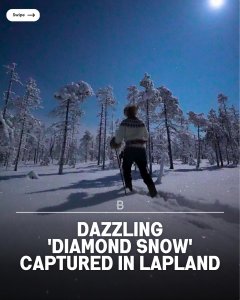 takes us on a moonlight adventure where nature's diamonds light the way. 

Journ...