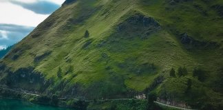 Green and blue bring a sense of tranquility and calmness, don’t you agree?
Nest… Green and blue bring a sense of tranquility and calmness, don't you agree?
Nest...