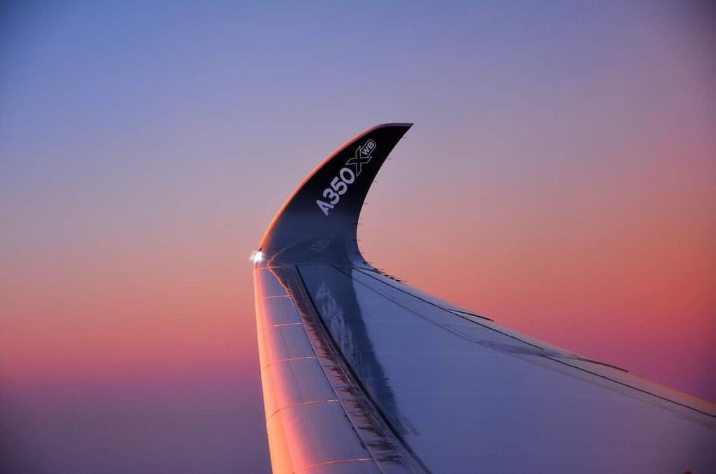 When the colours seen from our  window perfectly echo the...