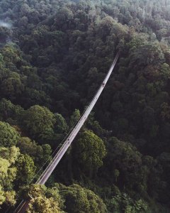 A long good walk down this bridge will instantly make your day worthwhile!

Loca...