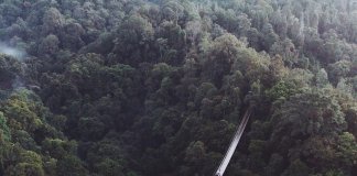 A long good walk down this bridge will instantly make your day worthwhile!
Loca… A long good walk down this bridge will instantly make your day worthwhile!
Loca...