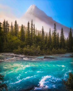 takes us on a journey to the heart of the Canadian Rockies!  Did you know that t...