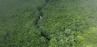 Sail through this magical forest and fulfill your fantasy!
Situated in the nort… Sail through this magical forest and fulfill your fantasy!
Situated in the nort...