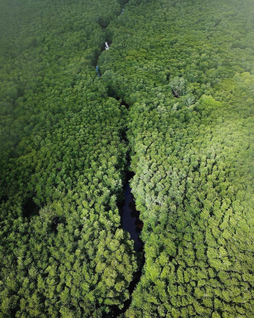 Sail through this magical forest and fulfill your fantasy!

Situated in the nort...