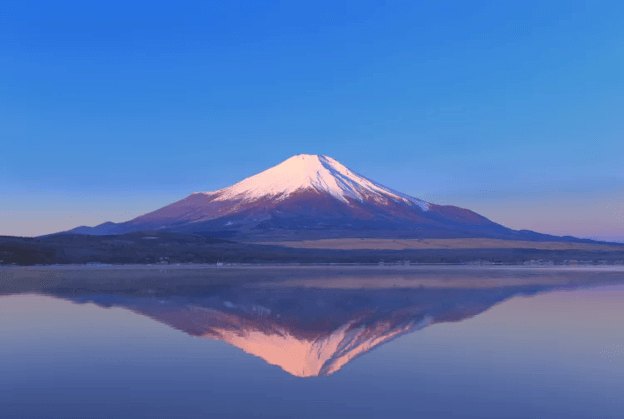 Karpet Merah Muda di Kaki Gunung Fuji