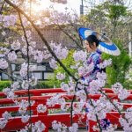 Taman Bunga di Jepang dengan Pemandangan Warna Warni Memukau