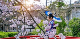 Taman Bunga di Jepang dengan Pemandangan Warna Warni Memukau Taman Bunga di Jepang dengan Pemandangan Warna Warni Memukau