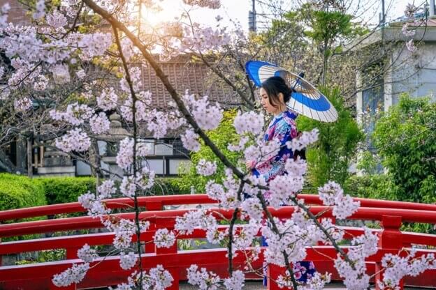 Taman Bunga di Jepang dengan Pemandangan Warna Warni Memukau Taman Bunga di Jepang dengan Pemandangan Warna Warni Memukau