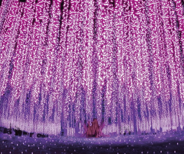 Tirai Ungu yang Menghipnotis di Ashikaga Flower Park